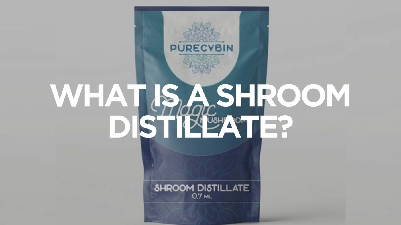 what-is-a-shroom-distillate