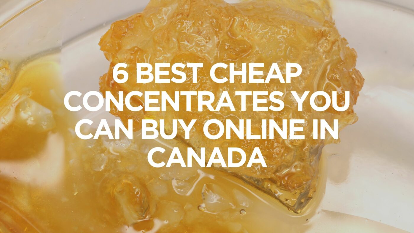 6-best-cheap-concentrates-you-can-buy-online-in-canada